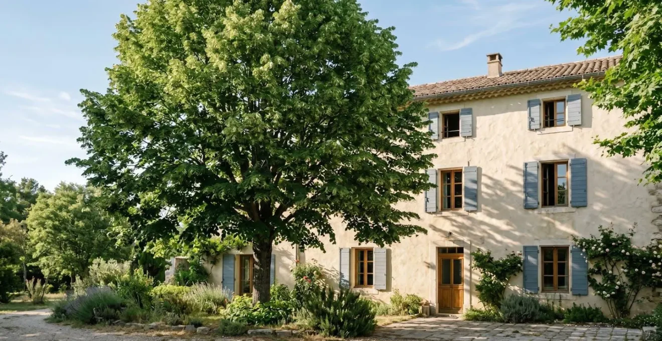 Vue d'un grand arbre à feuillage caduc devant une façade de maison française en été