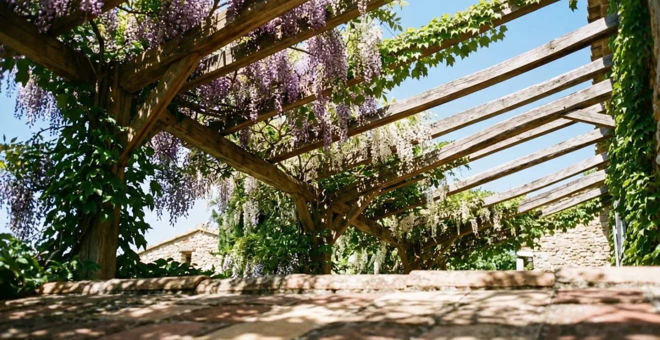 Pergola en bois recouverte de plantes grimpantes à feuillage dense créant une ombre naturelle et rafraîchissante au-dessus d'une terrasse plein sud